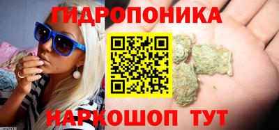 молекула духа Татарск