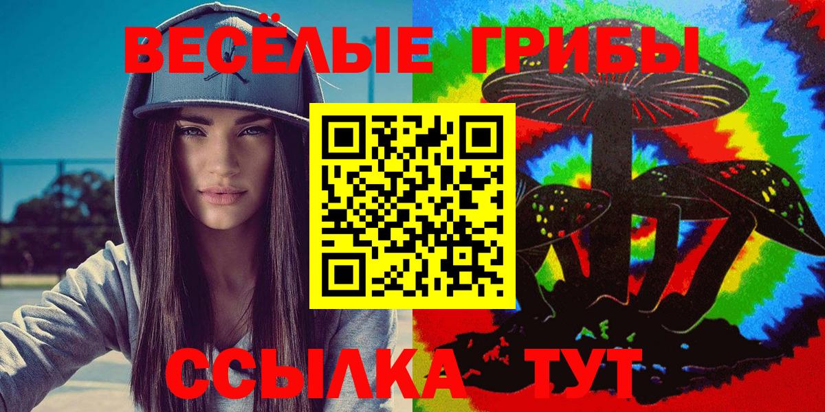 Псилоцибиновые грибы прущие грибы  Вход с VPN  Новороссийск  Псилоцибиновые грибы Cubensis 